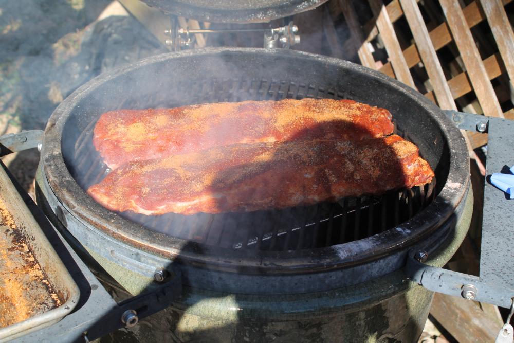 h upmann ribs ect 014.JPG