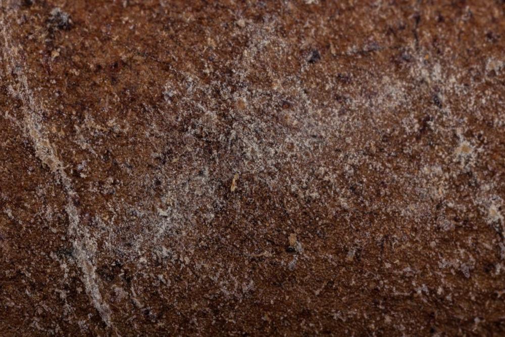 Mold-4.jpg