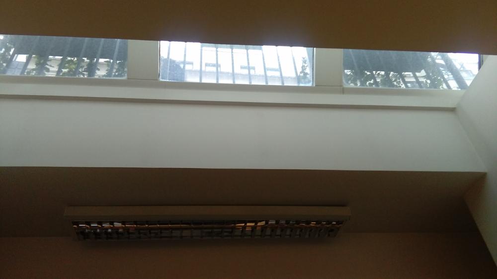 window.jpg
