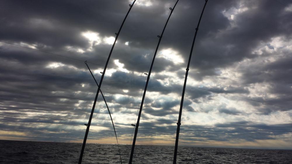 20160807_081559.thumb.jpg.fd15f169f99191f5fa61f7902cd0c359.jpg