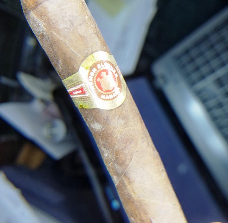 RASS08P3.thumb.jpg.7526c9928fc68a72ed5391293dffb891.jpg