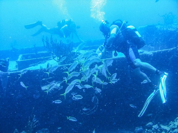 oct2016_f12_cuba.jpg__600x0_q85_upscale.jpg.d03e444c35c836a85da64561d241f54f.jpg