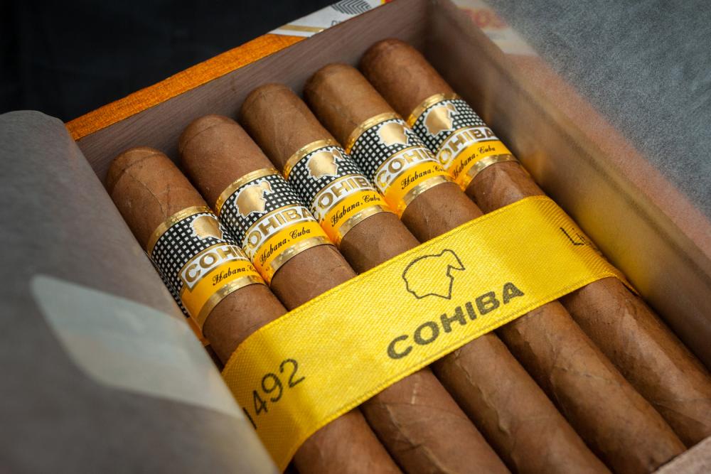 cohiba_siglo_ii_10.jpg