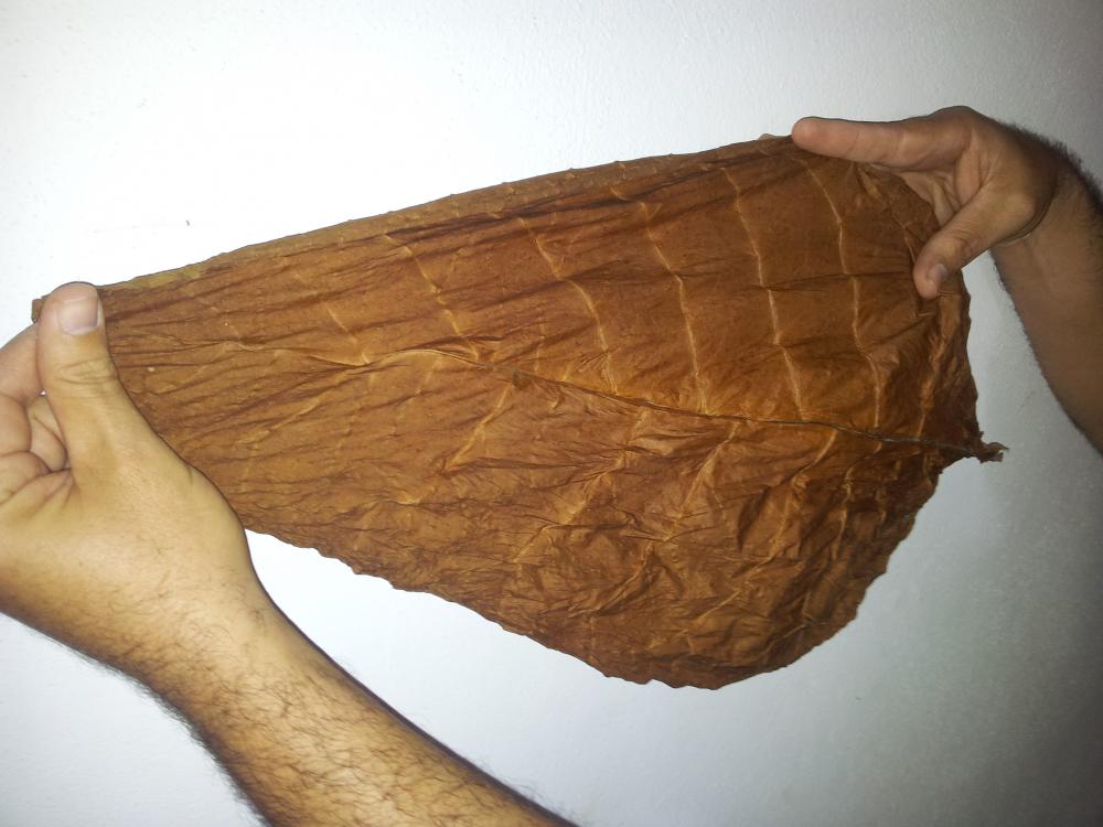 2012-12-28 12.58.37.jpg