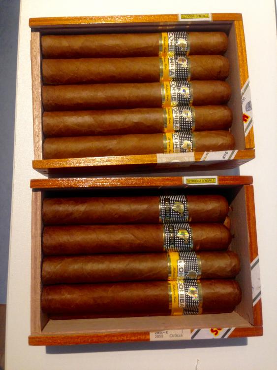 596c975d3c71e_cohiba1SigloVI(1).thumb.jpg.c1fde8bdb690f2706716c3b08a70a580.jpg