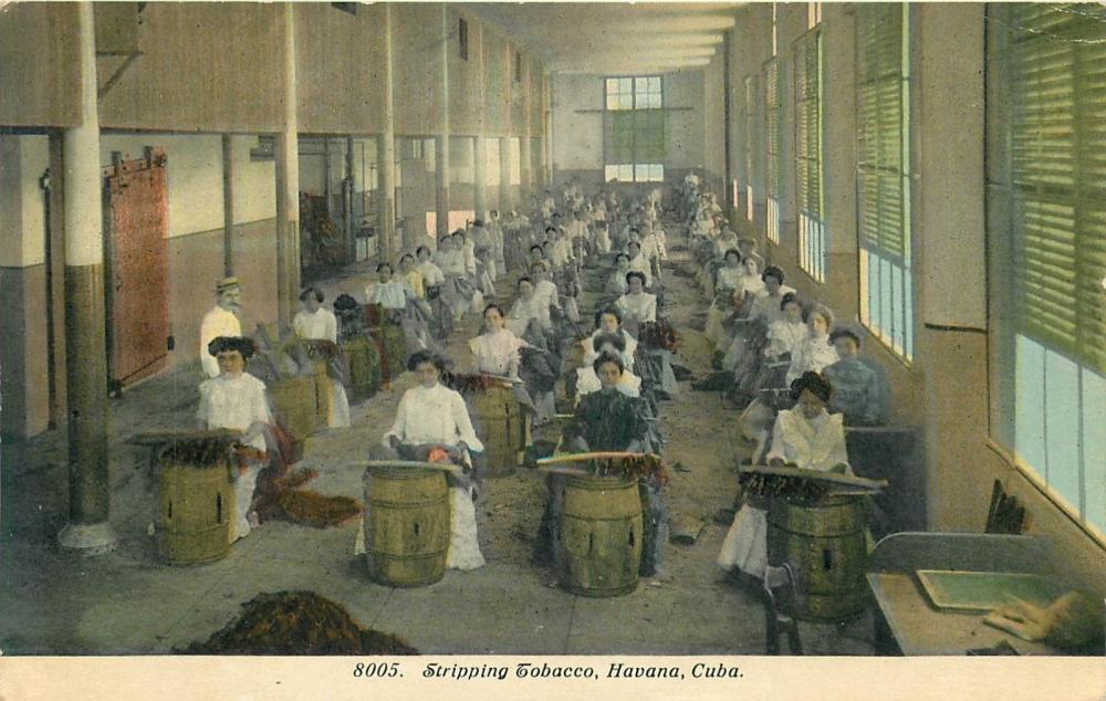 Women stripping tobacco, Havana.jpg