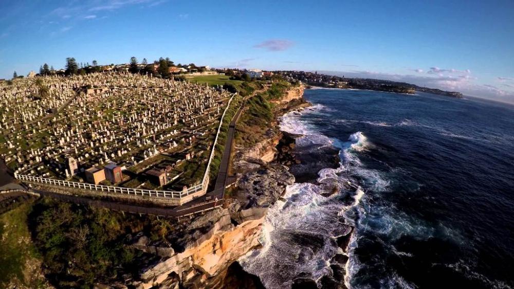 cemetery.thumb.jpg.42554a3da39eedf8e0399b7cc7c690d9.jpg