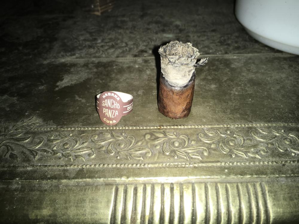 69BEAD9F-5952-4370-A677-4F98B400019D.thumb.jpeg.f07bb02671aa757fd20e0338dafffed2.jpeg