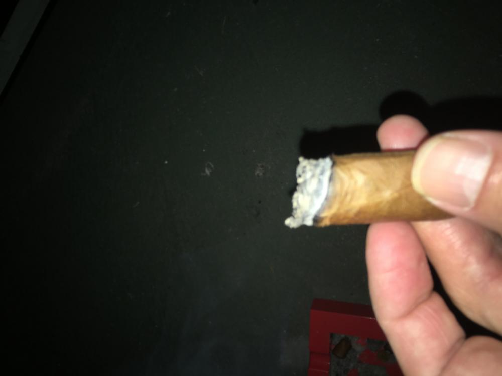0464A831-94F2-4F19-B901-180D3393398A.thumb.jpeg.4d3d4a892f55b5935393deabbb4d45c4.jpeg