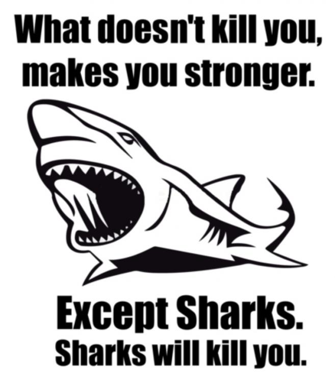 5a66c4b661bfd_SharksWillKillYou.thumb.jpg.97d5915f42504be226bee9f11ad233c8.jpg