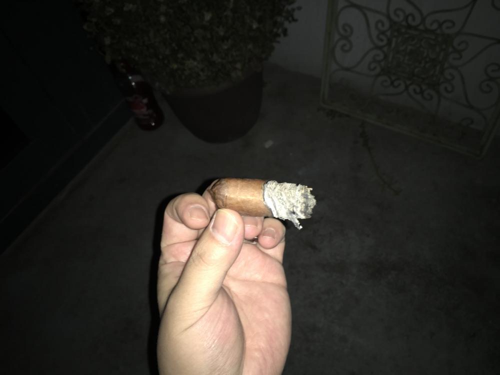 BCB5EDA2-48A4-44F9-8FDA-D501A0EE6286.thumb.jpeg.5af9b85960cd9ba6c543449a931de52d.jpeg