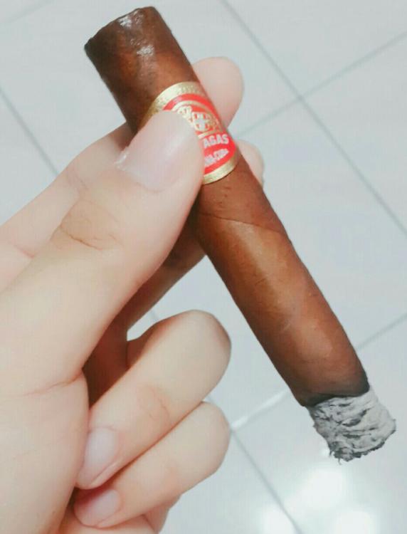 Partagas Shorts