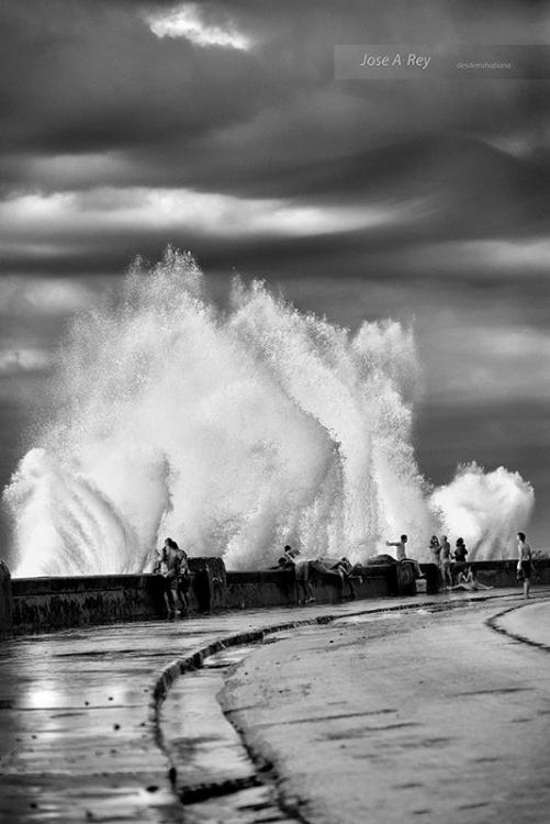 Jose_Rey_Malecon_2017.thumb.jpg.f8a1669b52460500e76b5b31b7bc9205.jpg