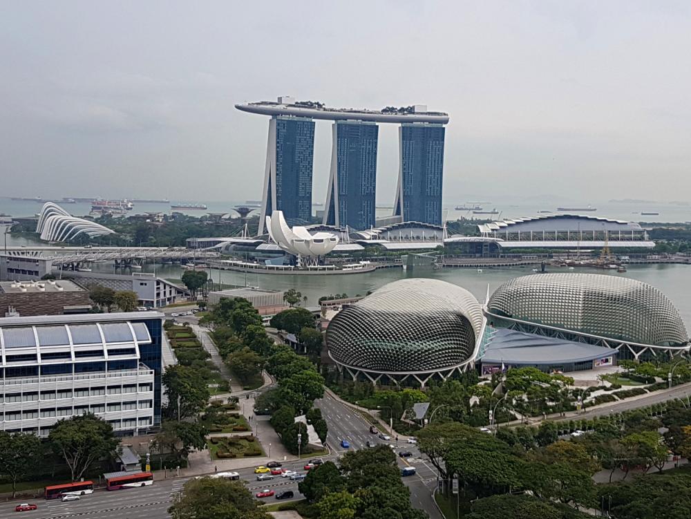 View.jpg