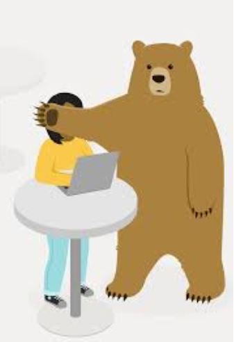 Bear 1.JPG