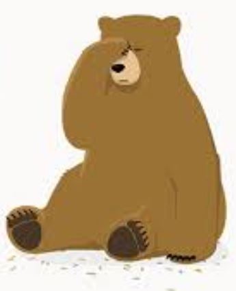 Bear 2.JPG