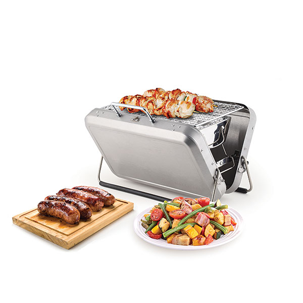 briefcase_grill.jpg.86af86b945e6b969b94a023fe52ebd0e.jpg