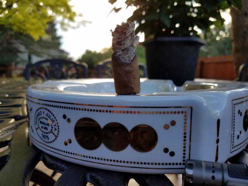 20180717_191631_resized.thumb.jpg.d8ac116a396165905e0f44fb6586c0b5.jpg