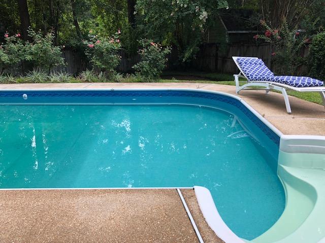 pool.jpg.8314dd035655ef25fb1610f0bd645968.jpg