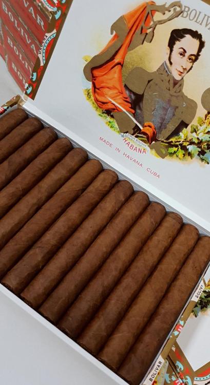 Bolivar PC.jpg