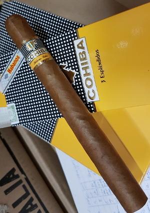Cohiba Esplendiidos CP.jpg