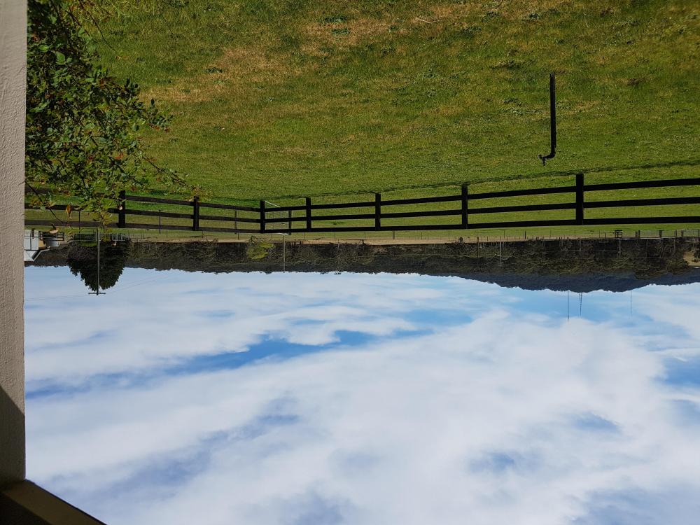20180922_110424.thumb.jpg.29830f7c52b09e3da471c1d9a00b5471.jpg