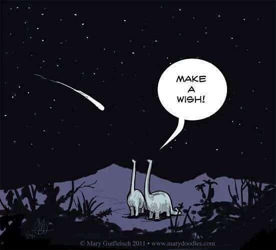 Hump day humour.jpg