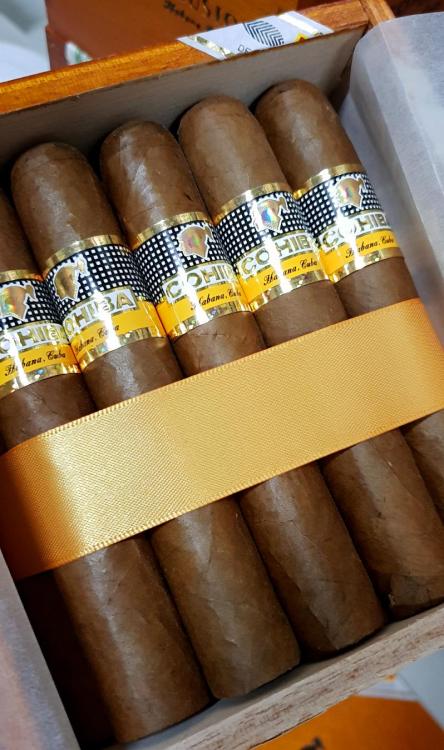 Cohiba Robusto HQ SP 18.jpg