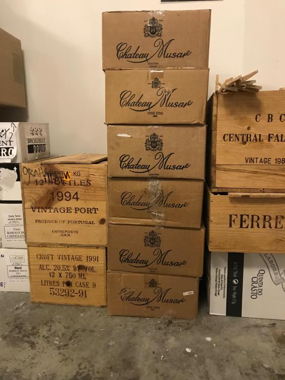 musar cases2.jpg