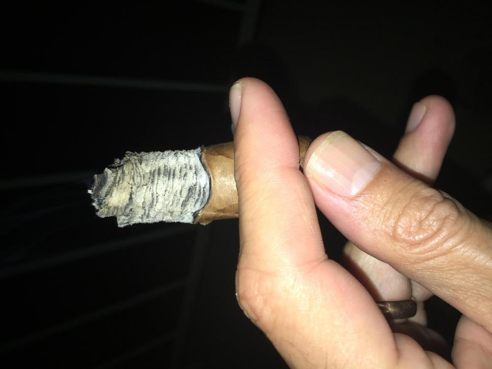 D059AEA3-0480-4209-A34D-CB757F74C319.thumb.jpeg.92be8688c5e08c5d9151176900ffb16e.jpeg