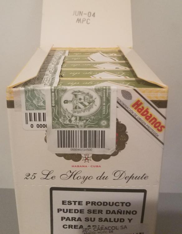 hoyo 3.jpg