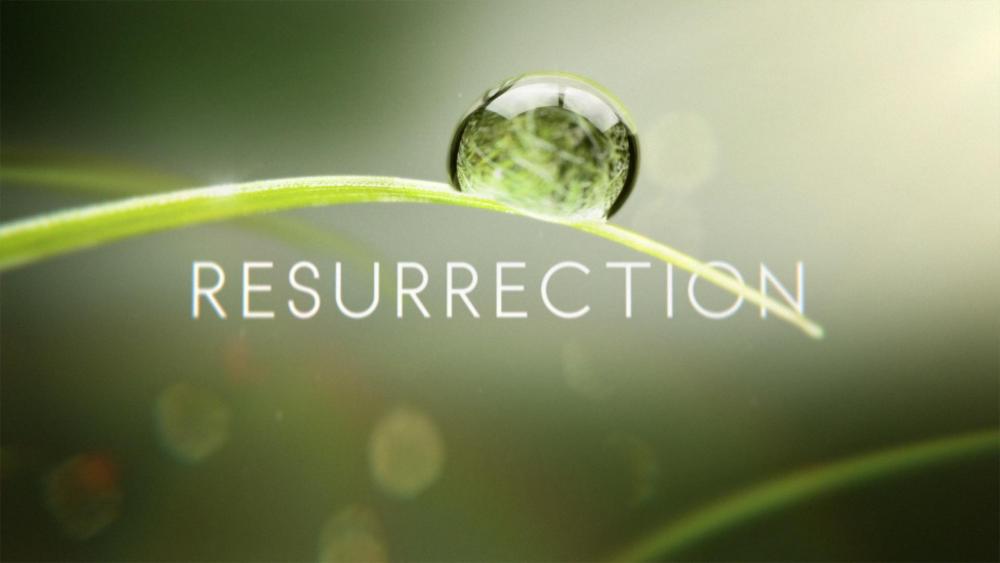 Resurrection_2013_logo.thumb.jpg.59cf7bf2e8d0cfc239133c05bf0a6558.jpg