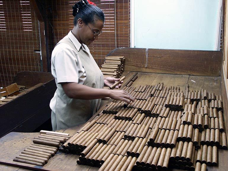 Sorting-cigars-by-wrapper-colours.jpg.1e3ff6a663adb820551e719e643d9442.jpg