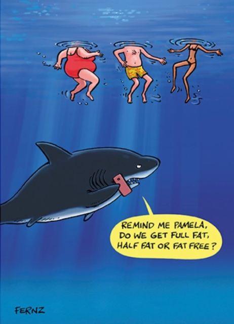 Shark Humour..jpg