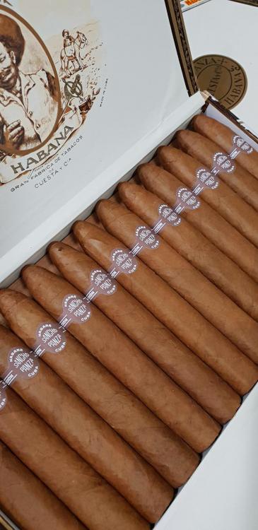 Sancho Panza Belicoso HP DIC 18.jpg