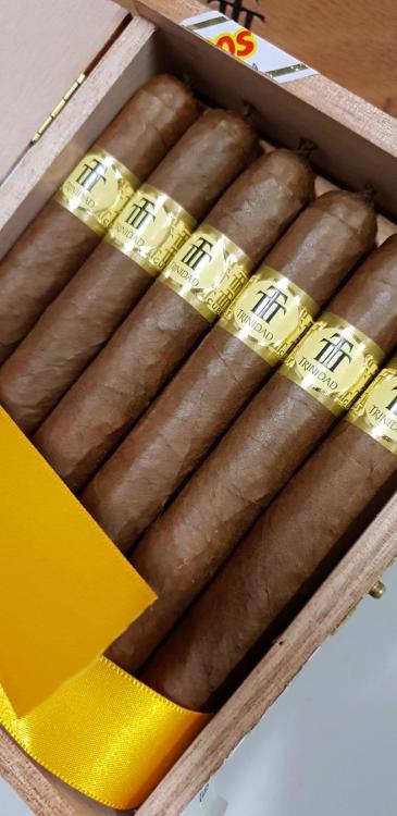 Trinidad Coloniales PSP DIC 18.jpg