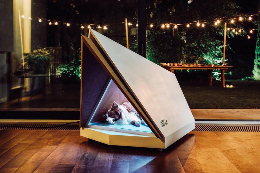 kennel-1.jpg
