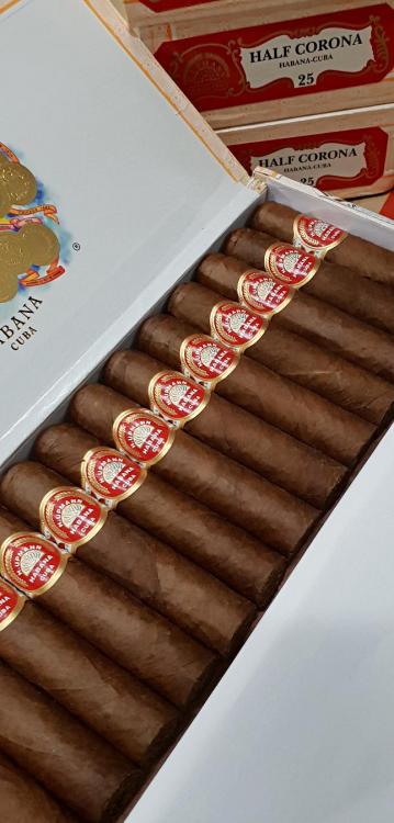 H .Upmann Half Corona JAN 19.jpg