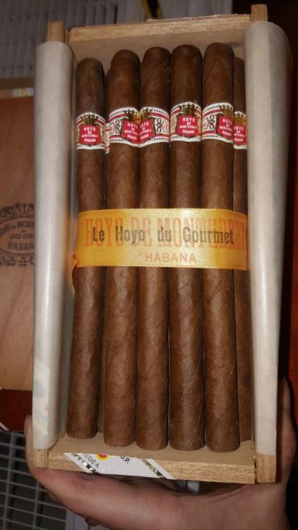 Hoyo Gourmet.jpg