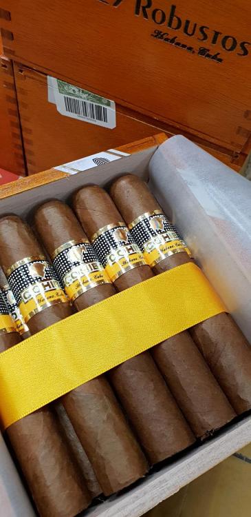 Cohiba robusto PSP JAn 19.jpg