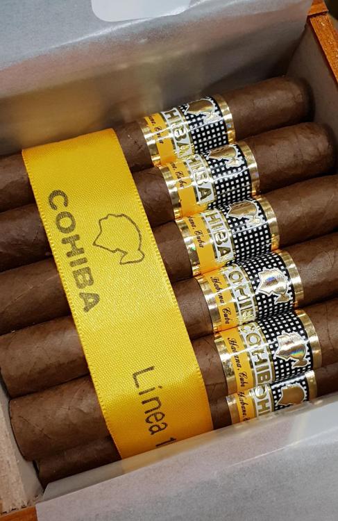 Cohiba Siglo 1 NOV 18.jpg