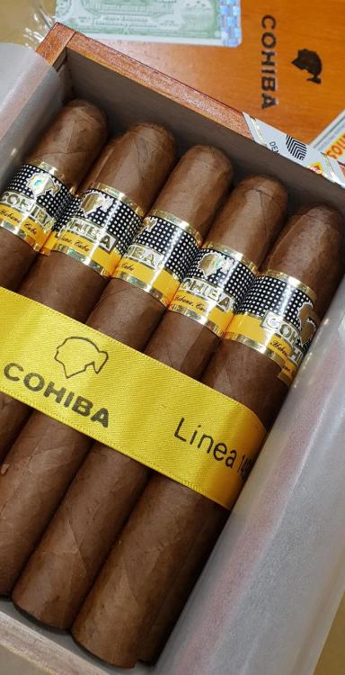 Cohiba SigloIV.jpg