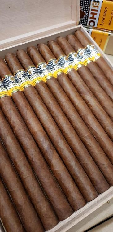 Cohiba Lanceros.jpg