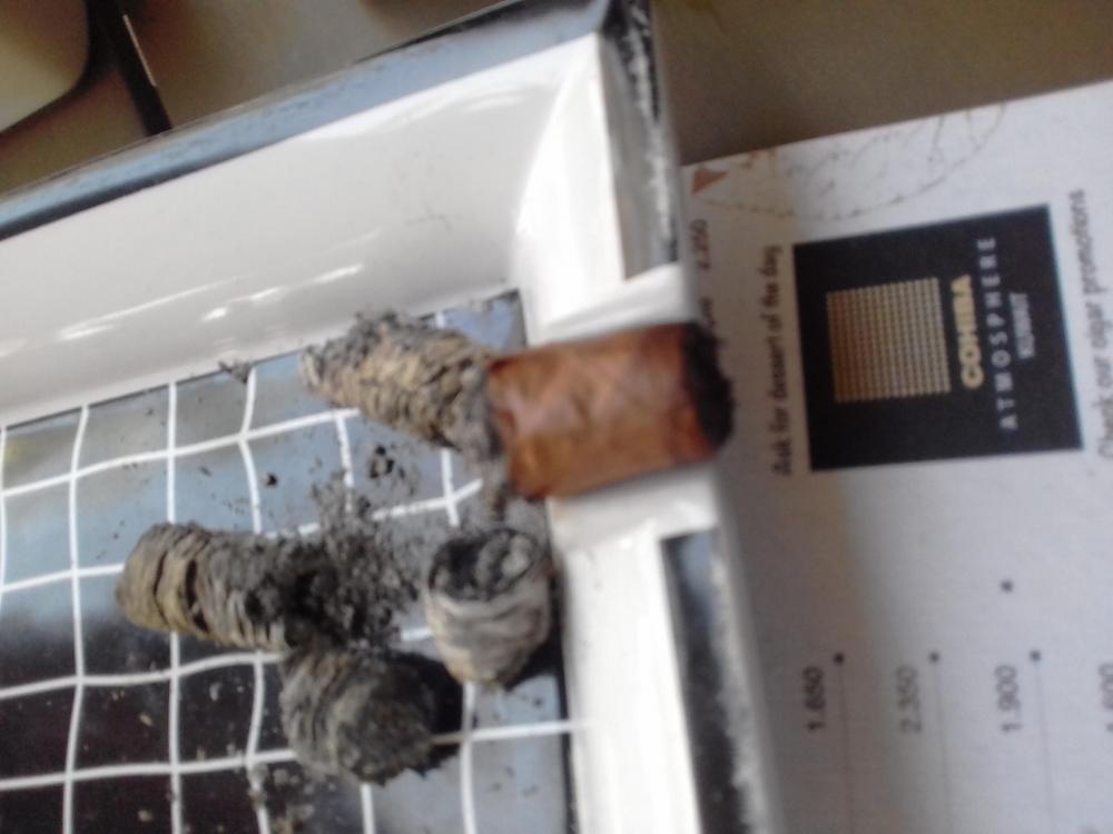 20190224_134940.thumb.jpg.589cc3758c6070c22c45c06b86d9430a.jpg