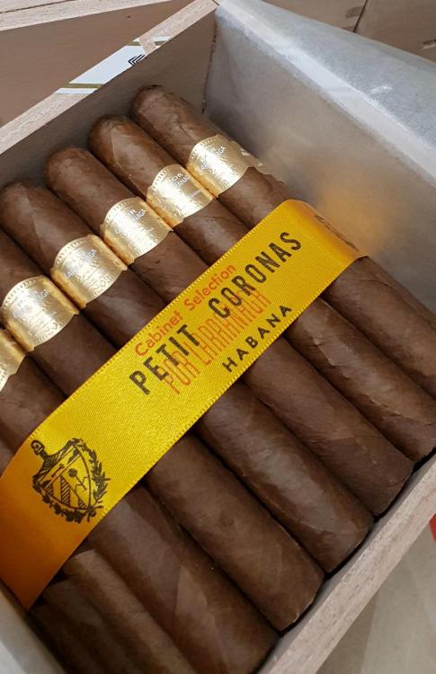 Por Larranaga Petit Corona PSP MAR 19.jpg