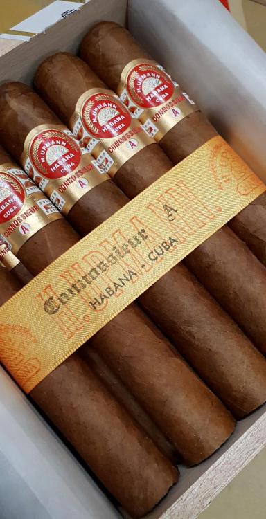 H. Upmann connie A HQ SEP 18.jpg