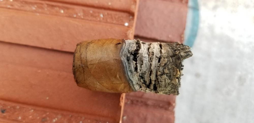 20190315_132406.thumb.jpg.9d61542c95791e1cc29a80527bc2830d.jpg