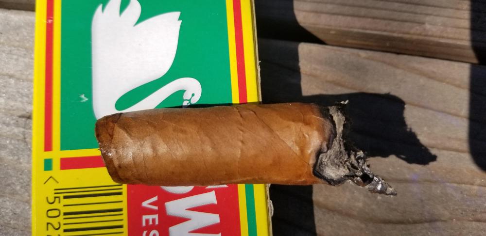 20190316_120618.thumb.jpg.e0cf3e7fbd2807157918e4ad5144c256.jpg