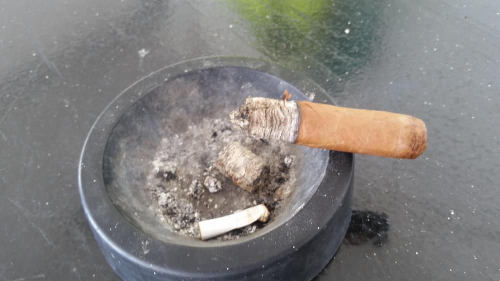 20190323_121452.thumb.jpg.06bcfb59f9136c358cc3f99cd04cb03e.jpg