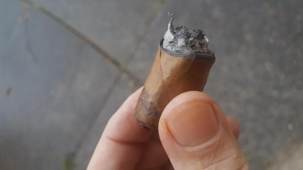 20190406_193449.thumb.jpg.f564c137f1d3959bb6cfbc4ab11cb94d.jpg